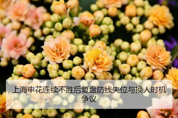 上海申花连续不胜后复盘防线失位与换人时机争议（Kaiyun）