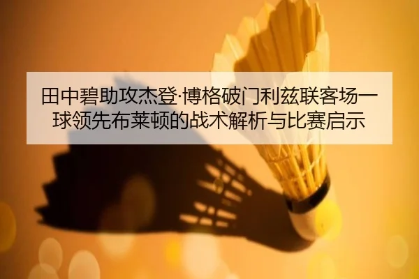 田中碧助攻杰登·博格破门利兹联客场一球领先布莱顿的战术解析与比赛启示（Kaiyun）
